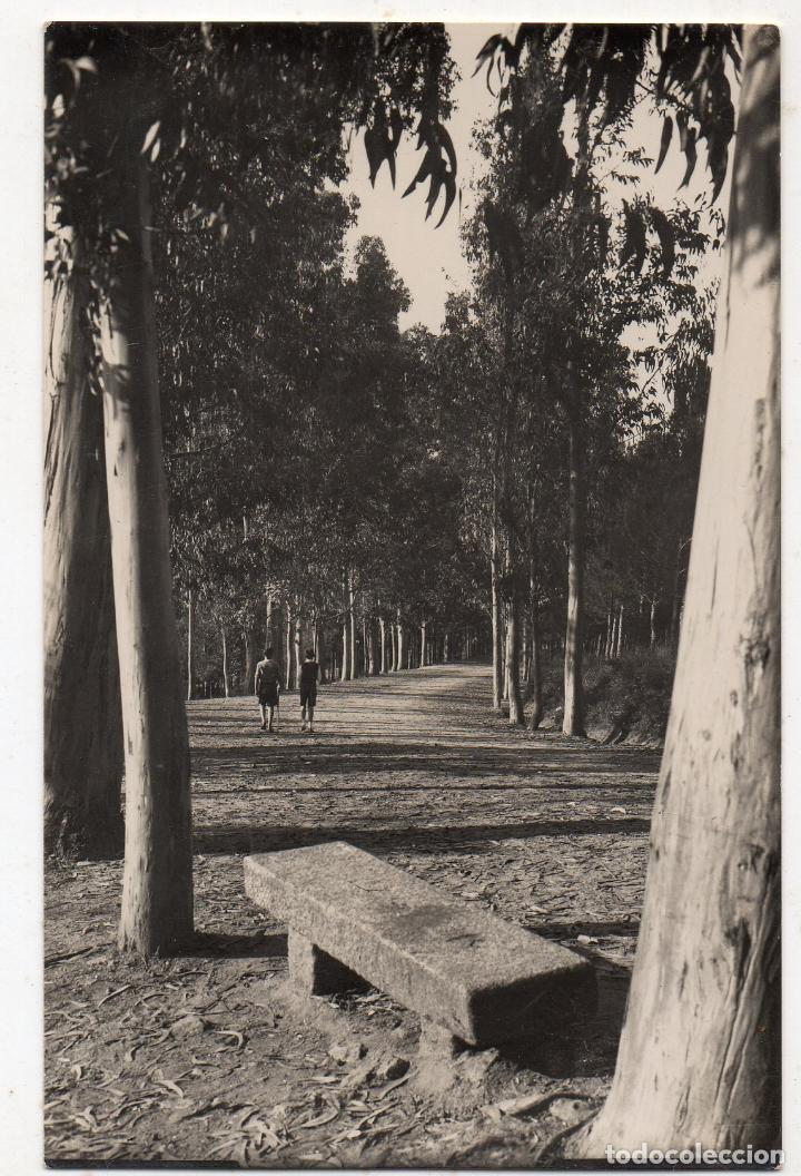 Ampliar: Paseo Parque do Carballiño (Foto F. Luis López 1965)